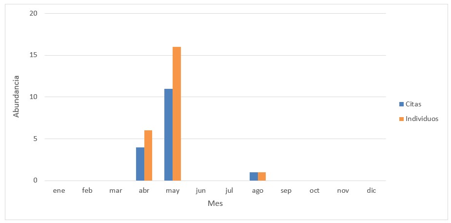 Distribución mensual de citas e individuos del chorlito gris en Madrid en el período 1996-2019
