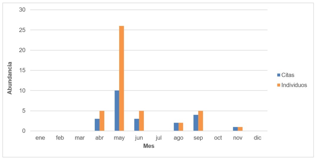 Figura 1. Distribución mensual de citas e individuos de vuelvepiedras común en Madrid entre 1996 y2019